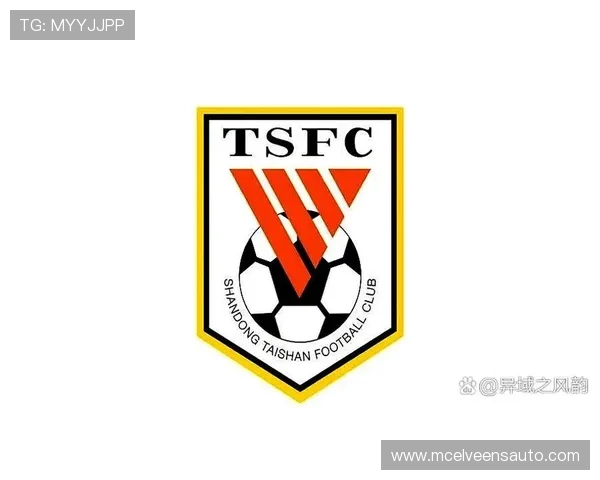 中超球队队标识别指南：辨识各俱乐部标志特征与设计元素