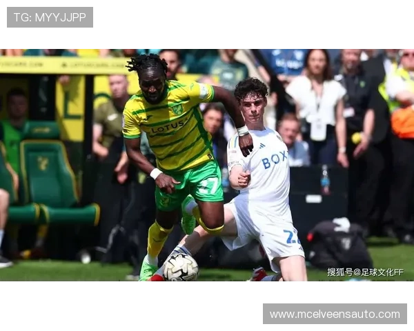 拉菲尼亚：利兹联时期成为球队进攻核心