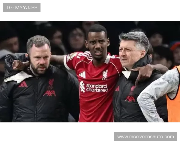 阿尔瓦雷斯与亚历山大·伊萨克:技术流中锋的效率与终结角色解析 阿尔瓦雷斯与亚历山大·伊萨克:技术流中锋的效率与终结角色解析