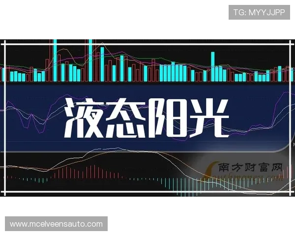 日本最值得关注的新星 日本最值得关注的新星